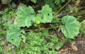 Thumbnail for version as of 21:00, 6 December 2010