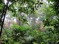Thumbnail for version as of 04:49, 25 October 2014