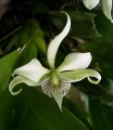Thumbnail for version as of 19:09, 22 October 2008