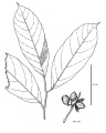Thumbnail for version as of 16:05, 9 June 2008