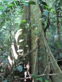 Thumbnail for version as of 20:23, 4 February 2011