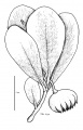 Thumbnail for version as of 15:58, 9 June 2008