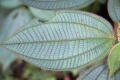 Thumbnail for version as of 17:11, 3 August 2009