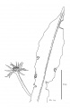 Thumbnail for version as of 15:57, 9 June 2008