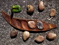 Thumbnail for version as of 18:26, 22 September 2008