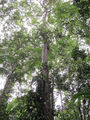 Thumbnail for version as of 21:57, 10 October 2014