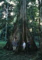 Thumbnail for version as of 19:08, 22 October 2008
