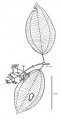 Thumbnail for version as of 16:01, 9 June 2008
