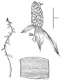Thumbnail for version as of 15:58, 9 June 2008