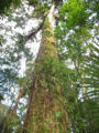 Thumbnail for version as of 19:27, 10 April 2012