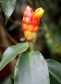 Thumbnail for version as of 18:57, 22 September 2008
