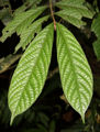 Thumbnail for version as of 19:49, 24 April 2012