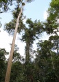 Thumbnail for version as of 13:52, 30 July 2009