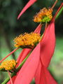 Thumbnail for version as of 04:48, 25 October 2014