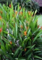 Thumbnail for version as of 19:05, 22 September 2008