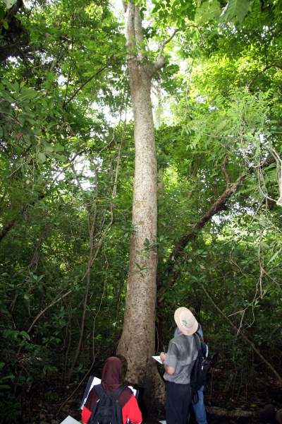 File:IMG 0660b.jpg