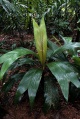 Thumbnail for version as of 18:22, 22 September 2008