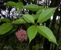 Thumbnail for version as of 14:46, 3 August 2009
