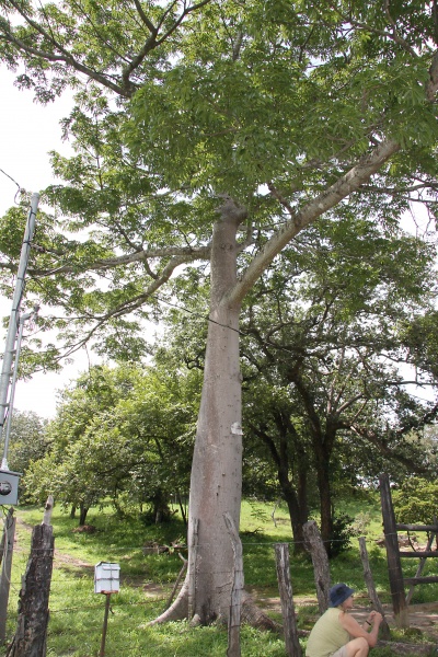 File:IMG 0589b.jpg
