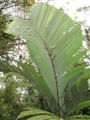 Thumbnail for version as of 13:44, 9 April 2013