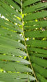 Thumbnail for version as of 19:23, 26 March 2012