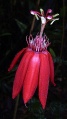 Thumbnail for version as of 19:09, 22 October 2008