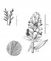 Thumbnail for version as of 16:10, 9 June 2008
