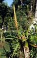 Thumbnail for version as of 18:23, 22 September 2008
