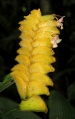 Thumbnail for version as of 19:23, 14 December 2010