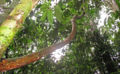 Thumbnail for version as of 19:22, 30 March 2012