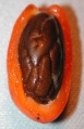 Thumbnail for version as of 12:52, 31 July 2009