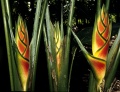 Thumbnail for version as of 18:25, 22 September 2008