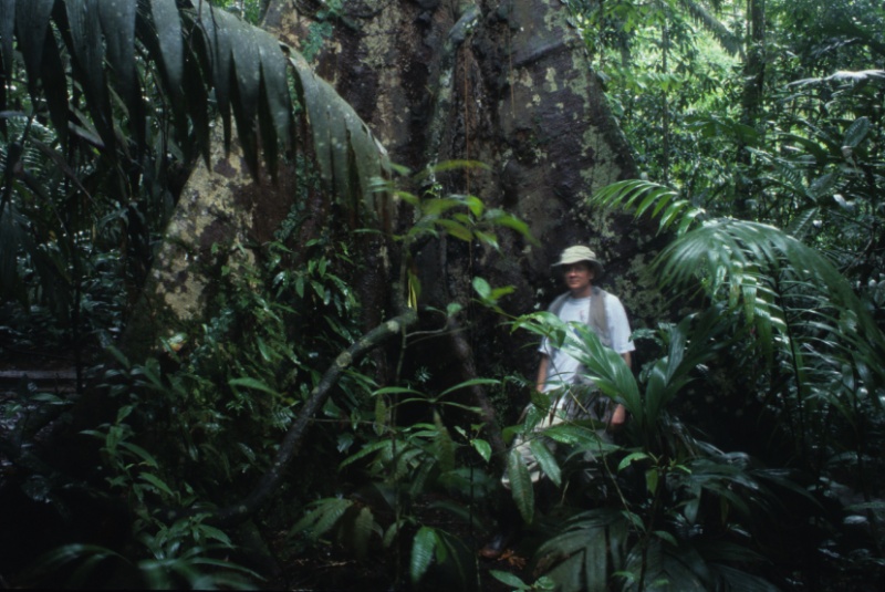 File:Scott and Dipteryx 1.jpg