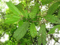 Thumbnail for version as of 20:21, 24 April 2012