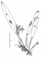Thumbnail for version as of 16:06, 9 June 2008