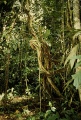 Thumbnail for version as of 18:23, 22 September 2008