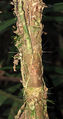 Thumbnail for version as of 16:02, 13 September 2014