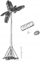 Thumbnail for version as of 15:50, 9 June 2008