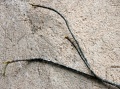 Thumbnail for version as of 19:02, 22 September 2008