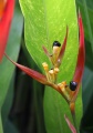 Thumbnail for version as of 19:05, 22 September 2008