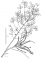Thumbnail for version as of 16:02, 9 June 2008