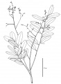 Thumbnail for version as of 16:08, 9 June 2008