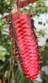 Thumbnail for version as of 15:03, 30 July 2009