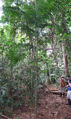 Thumbnail for version as of 14:04, 11 April 2013