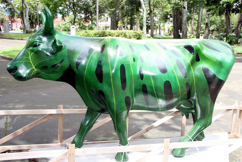 File:IMG 0284b.jpg