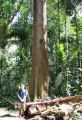 Thumbnail for version as of 15:31, 30 July 2009