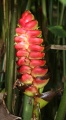 Thumbnail for version as of 20:32, 10 December 2010