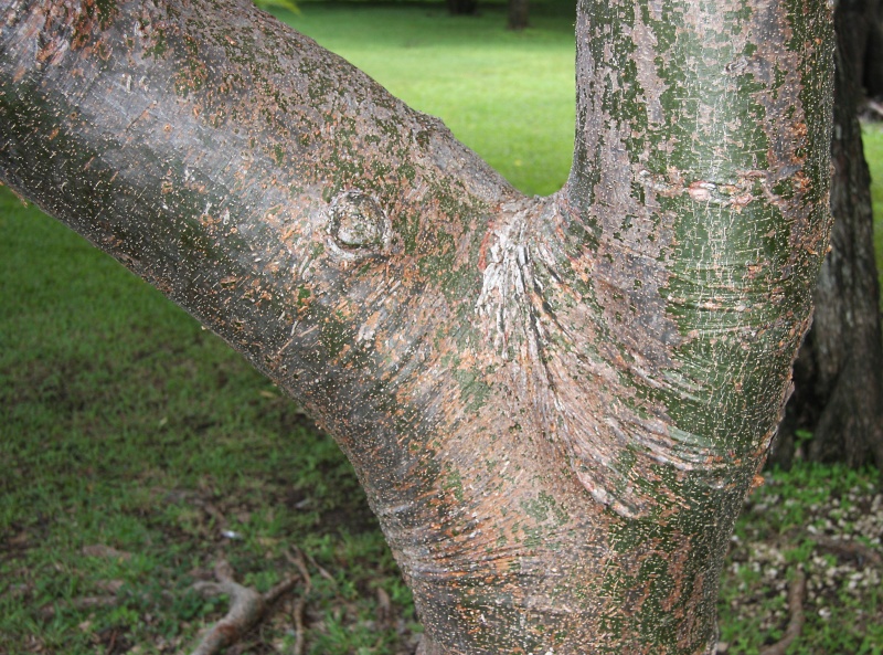 File:IMG 0573b.jpg