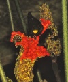 Thumbnail for version as of 18:24, 22 September 2008